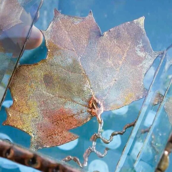 Dipped Electroplated Iridescent Copper Maple Leaf in a Beveled Glass Square - Picture 2 of 8